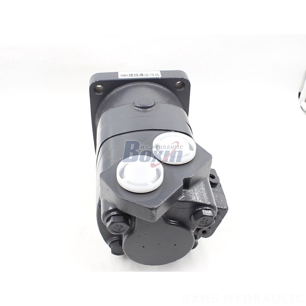 BM6 Cycloid Hydraulic Motor 195 cc/r 150 Lpm - Factory Direct Supply cover photo